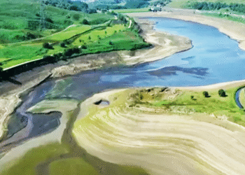 İngiltere’de Kuraklık Alarmı Zirvede!