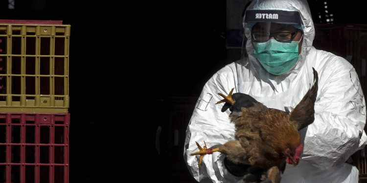 DSÖ’den Kuş Gribi Uyarısı!