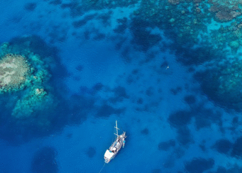Tur Gemisinin Adada Unuttuğu Yaşlı Kadın Ölü Bulundu!