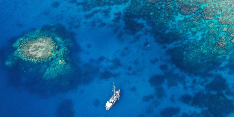 Tur Gemisinin Adada Unuttuğu Yaşlı Kadın Ölü Bulundu!