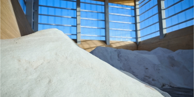 Almanya Yeniden “İyot Eksikliği Bölgesi” İlan Edildi!