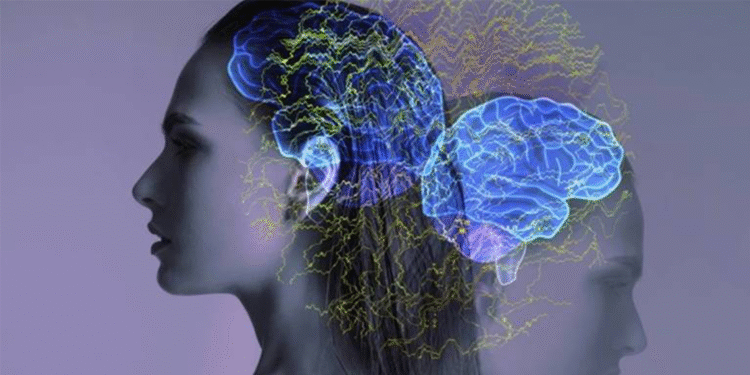 Cambridge Üniversitesi Araştırması!