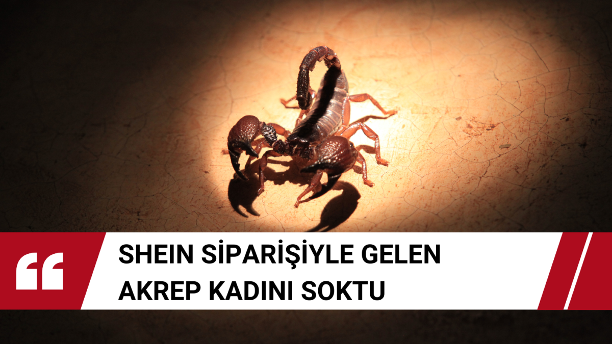 Shein Siparişiyle Gelen Akrep Kadını Soktu