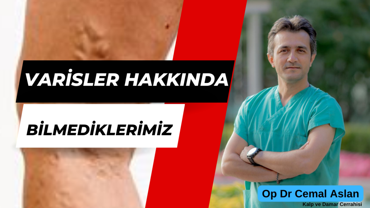 Varisler hakkında bilmediklerimiz !